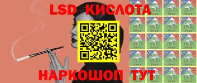 ПСИЛОЦИБИНОВЫЕ ГРИБЫ Канаш
