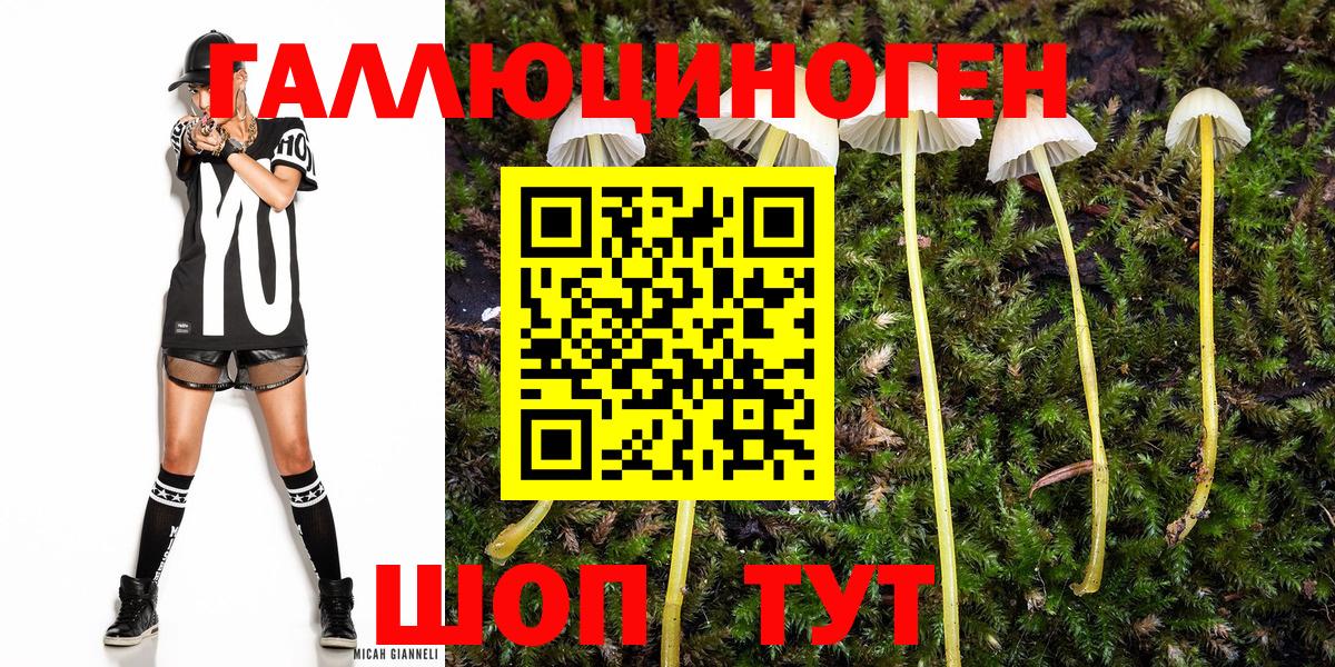 Галлюциногенные грибы ЛСД  Вход с VPN  закладка  Краснокаменск 