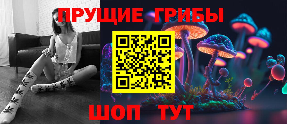 Псилоцибиновые грибы Psilocybine cubensis Краснокаменск